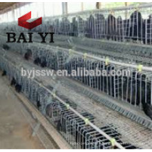 South Africa Distributor Poultry Farming Chicken Cage